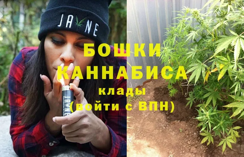 купить наркотик  Великий Устюг  МАРИХУАНА White Widow 